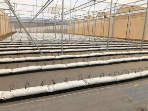 Greenhouses Paraguay AG Invest