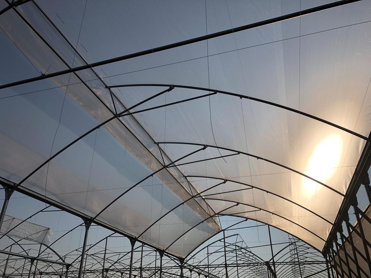 Retractable Greenhouse Roof