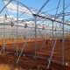 Vegetable Greenhouse construction Paraguay August 2022